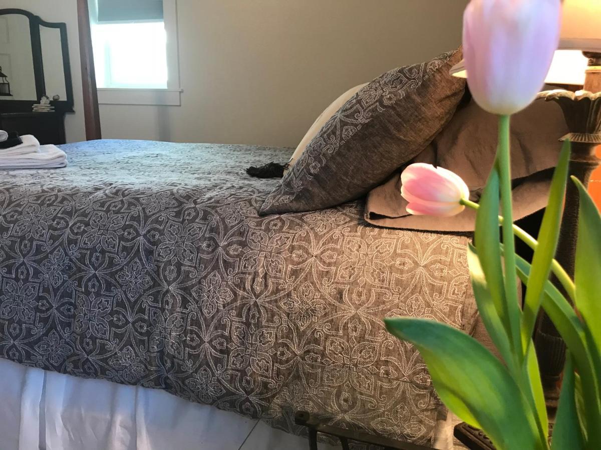 Snowgoose Pond Bed & Breakfast Palmer Bagian luar foto
